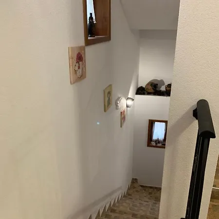 сининкова къща Konukevi